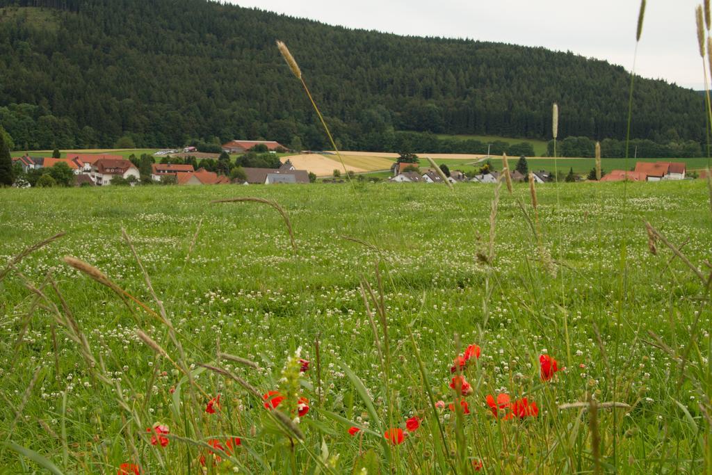 Fewo Alte Schule Willingen  Luaran gambar