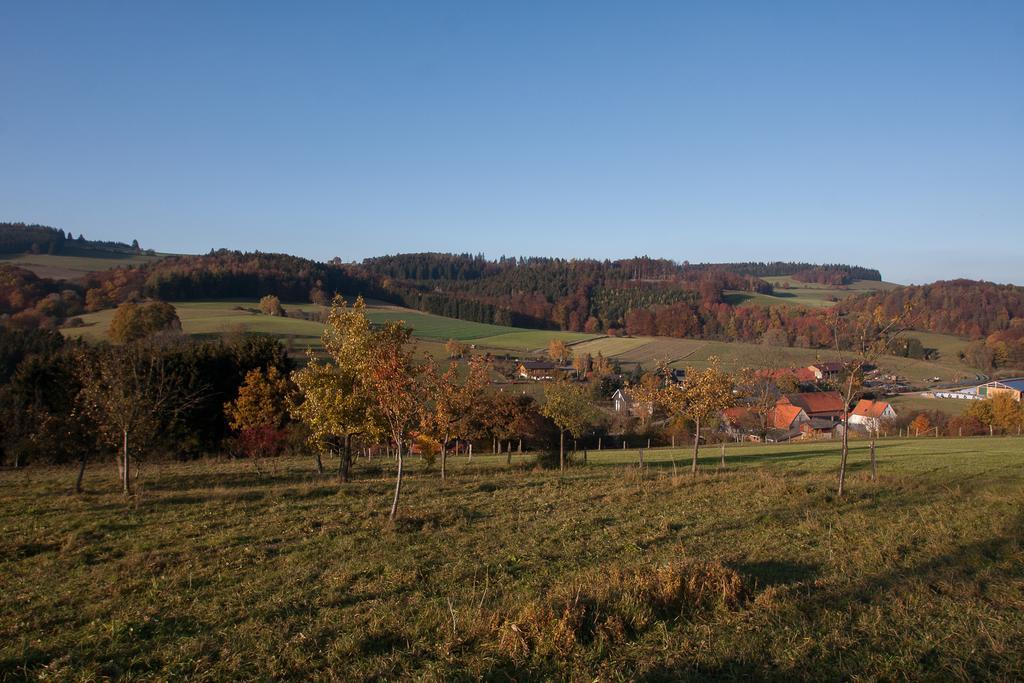 Fewo Alte Schule Willingen  Luaran gambar