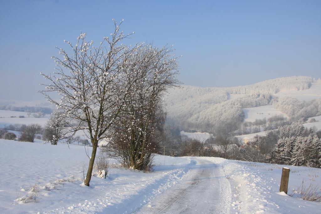 Fewo Alte Schule Willingen  Luaran gambar